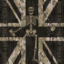 HOV Flag