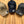Company Man Cap