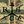 Rhodesian UJ